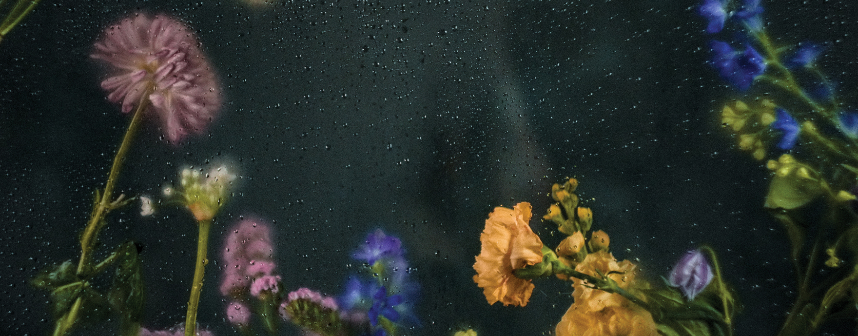 Kukkia huurteisen lasin takana.